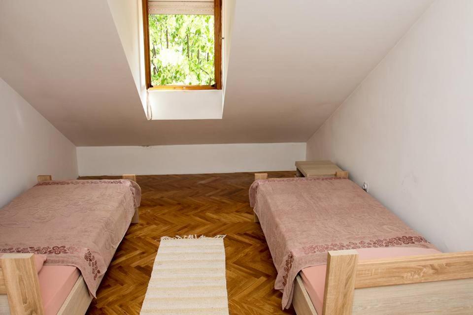 Green House Cetinje Dış mekan fotoğraf